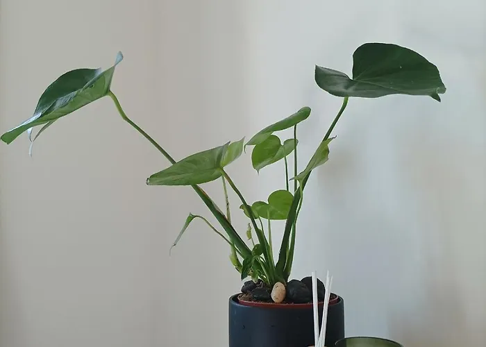 Castelo River View - New * Vila Nova de Gaia