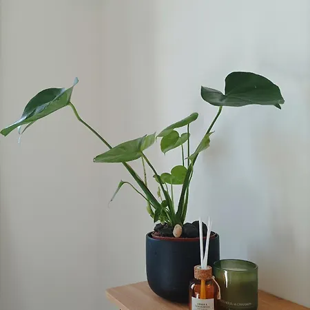 Castelo River View - New * 빌라노바데가이아