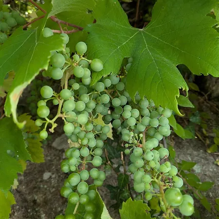 Castelo River View - New 아파트 빌라노바데가이아