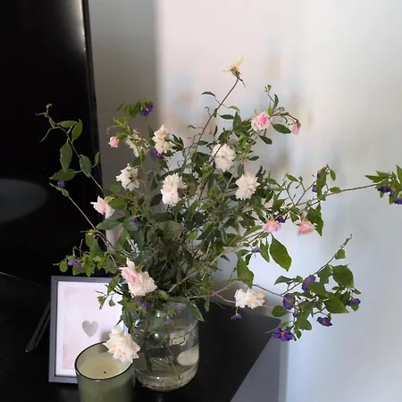 Castelo River View - New *