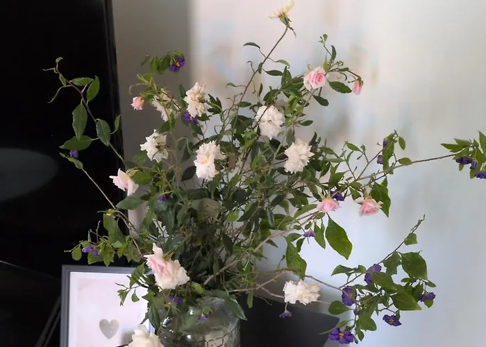 Castelo River View - New *